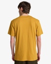 billabong-arch-crew-ss-yellow-honey-s-00-1