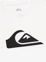 quiksilver-ev-comp-logo-ss-youth-white-s-10-12