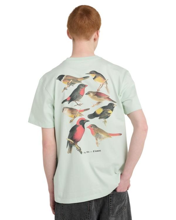 element-orni-ss-green-green-lily-s-5