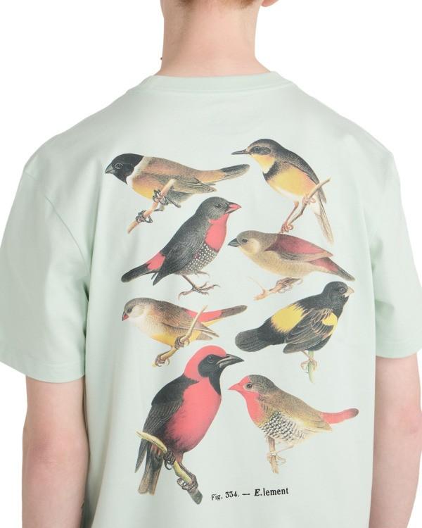 element-orni-ss-green-green-lily-s-6