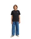 element-big-carpenter-denim-y-blue-mid-used-s-10-9