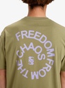 quiksilver-freedom-from-the-chaos-tee-ss-beige-aloe-m-3