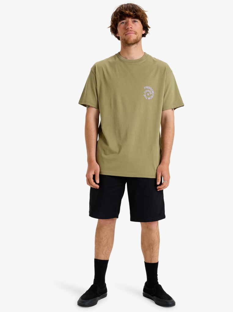 quiksilver-freedom-from-the-chaos-tee-ss-beige-aloe-m-4