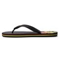 dc-shoes-spray-miscellaneous-g-rasta-10-d-2-1