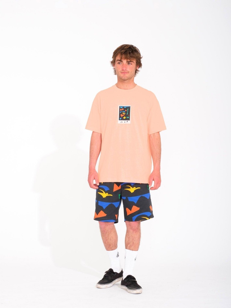volcom-fa-arthur-longo-ew-short-18-black-l-a3-4