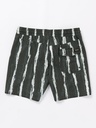volcom-v-ent-hockey-dad-trunk-17-black-s-5-4