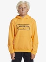 GRAPHIC HOODIE YOUTH