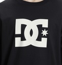 DC STAR HLS