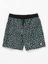 ASPHALT BEACH TRUNK