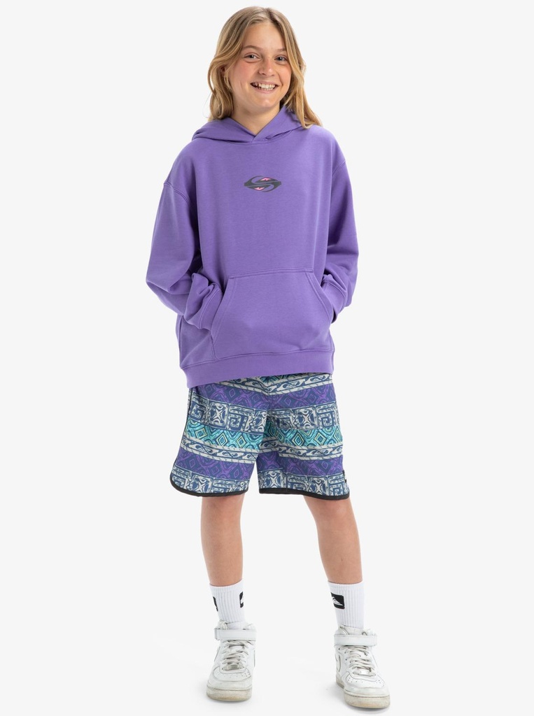 APOG HERITAGE HOODIE YOUTH