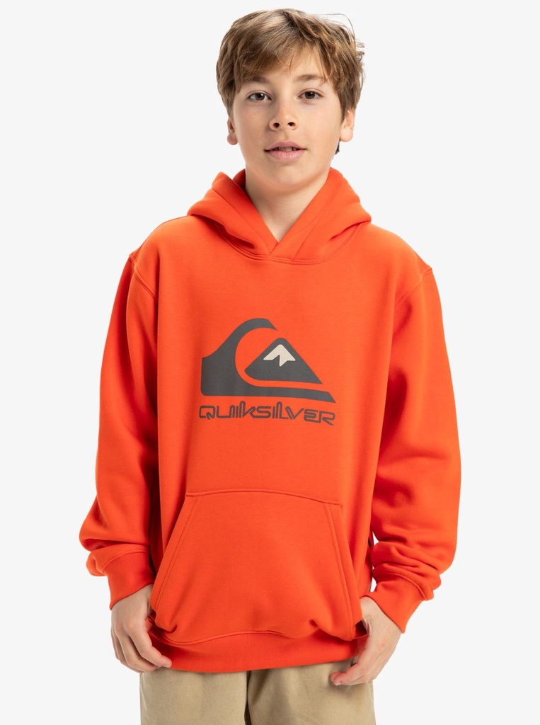 BIG LOGO HOODIE YOUTH
