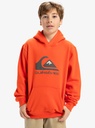 BIG LOGO HOODIE YOUTH