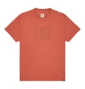 DC STAR PIGMENT DYE HSS