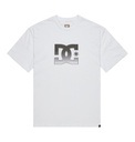 DC STAR REFLECTIVE HSS