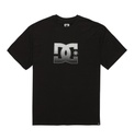 DC STAR REFLECTIVE HSS