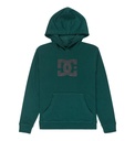 DC STAR PH BOY