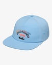 ARCH TEAM SNAPBACK