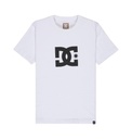 DC STAR SS BOY