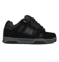 STAG WNT