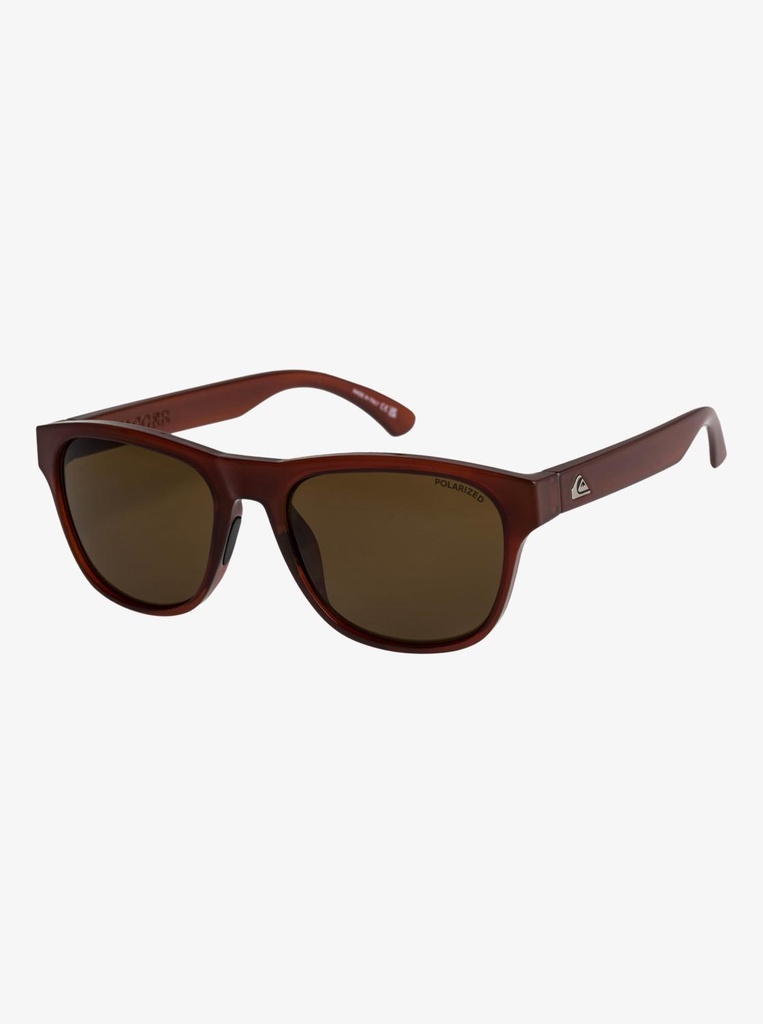 TAGGER POLARIZED