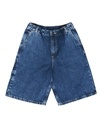 BIG CARPENTER DENIM WK Y