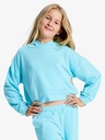 SURFING BY DAYLIGHT HOODIE RG