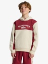 KNOWLEDGE AREA HOODIE YOUTH
