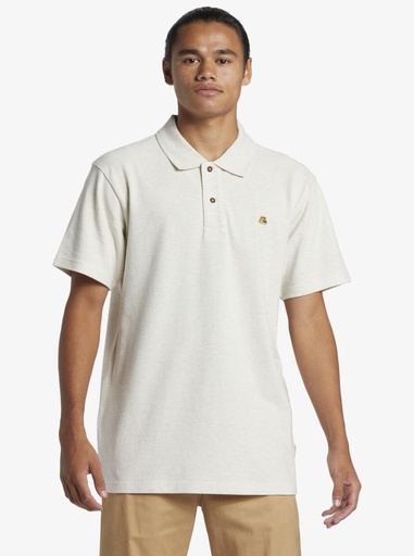 DNA POLO