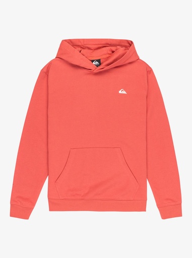 BASIC HOODIE YOUTH