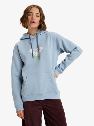 SURF STOKED HOODIE BRUSHED ART