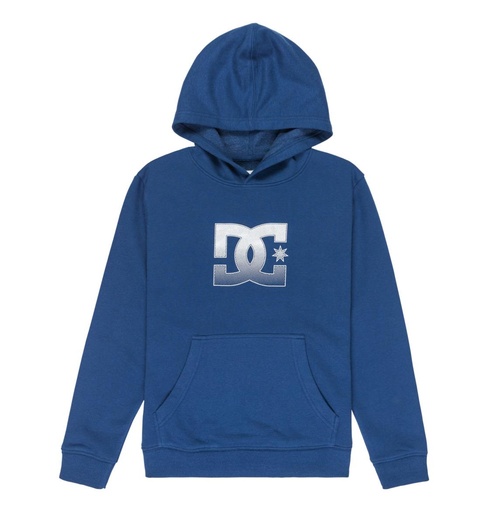 DC STAR REFLECTIVE PH BOY