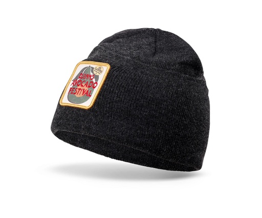 [4051967272968] Basic Beanie Avo Festival