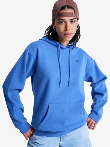SURF STOKED HOODIE BRUSHED